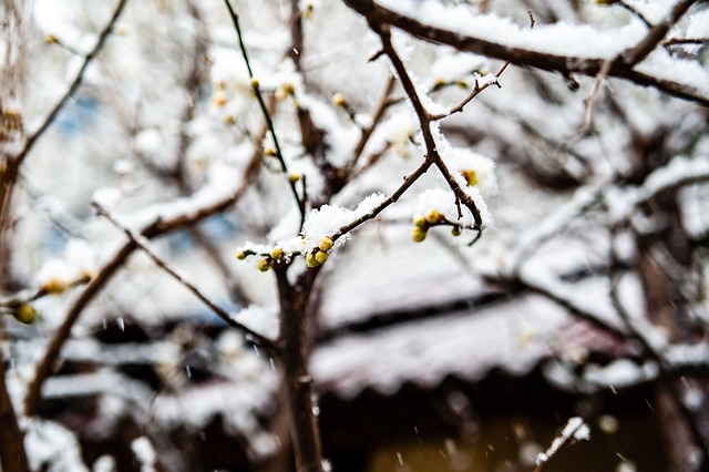 云流水